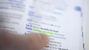 Dovolená Překlad